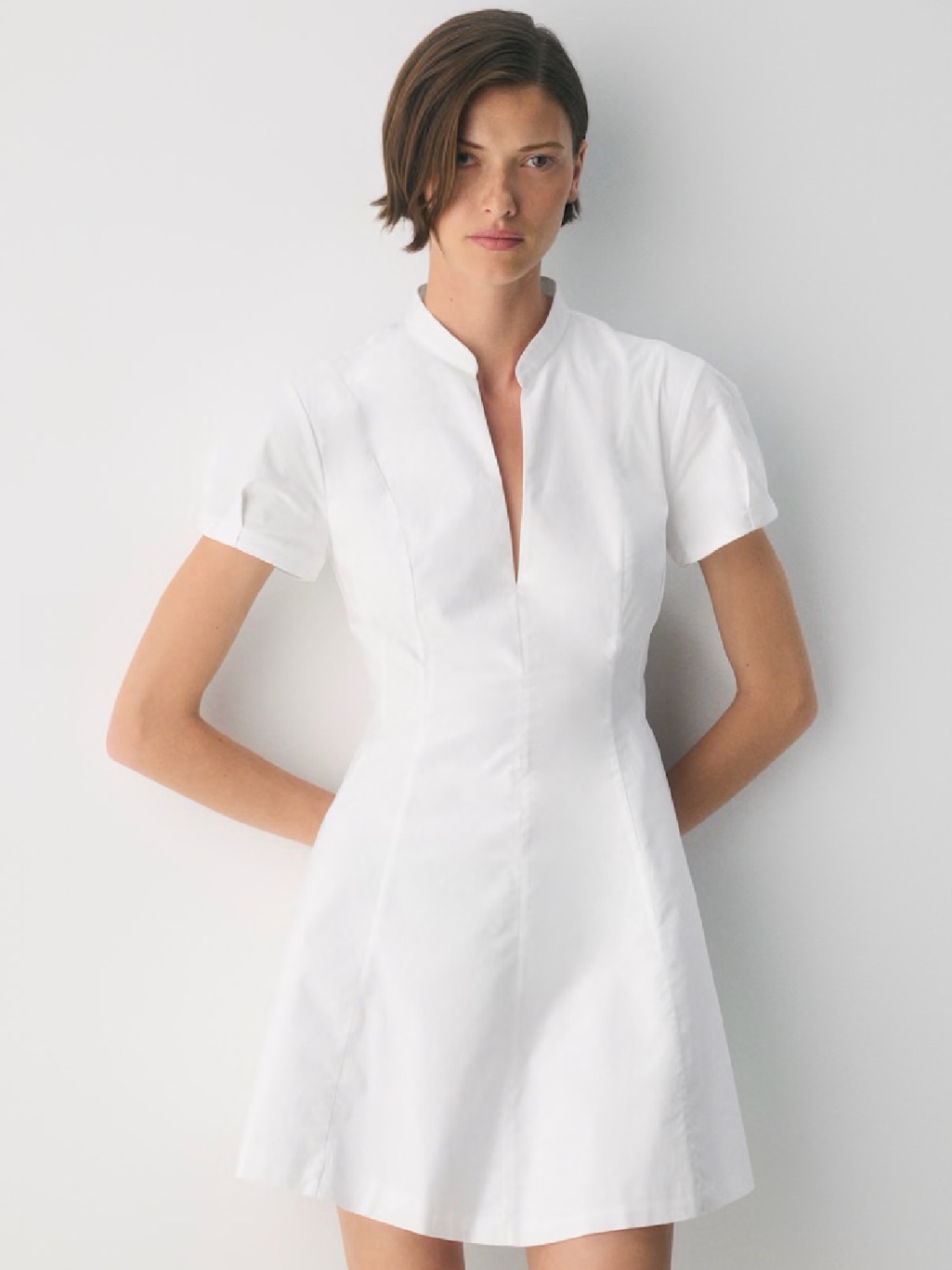 Aritzia Babaton Intro Poplin Dress